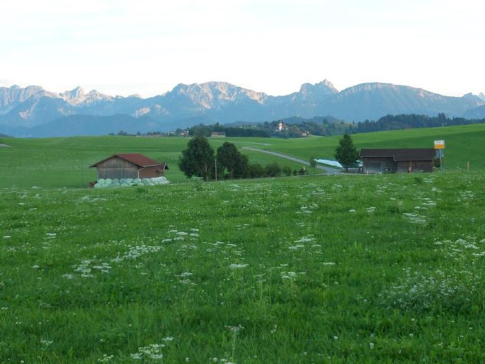 Ein Sommer auf unserem Ferienhof!