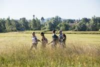 Wanderung durch die Moore vor den Toren der Stadt