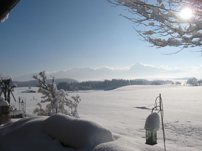 Winter auf der Terrasse