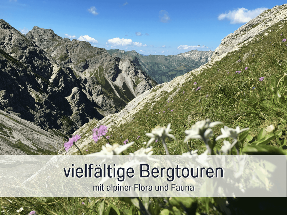 Bergtouren