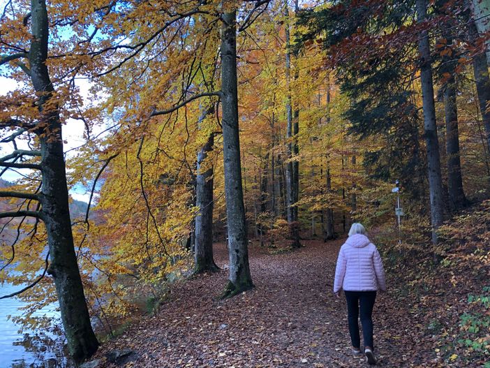 Herbst-Spaziergang am Alatsee