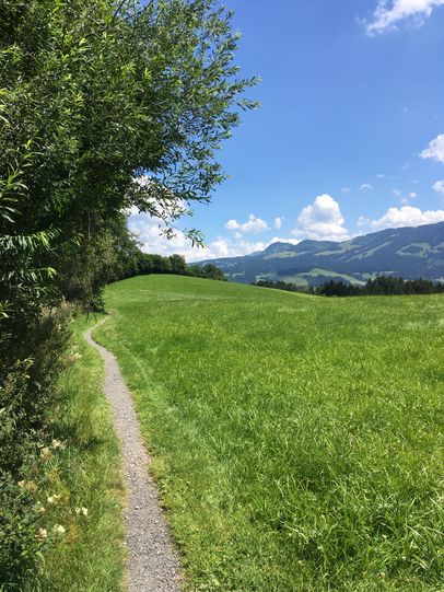 Schmaler Pfad Richtung Obermühlegg