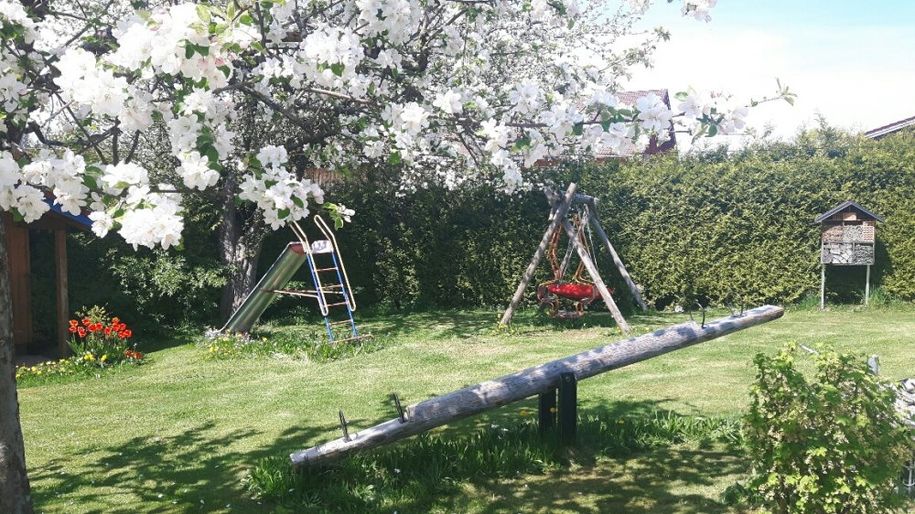 Spielplatz Frühling