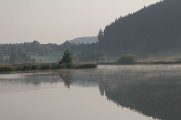 Morgenstimmung am Herrenwieser Weiher