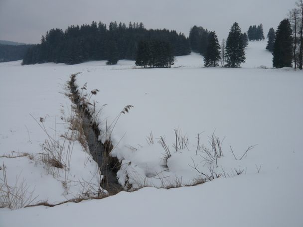 Zulaufgraben zur Geltnach