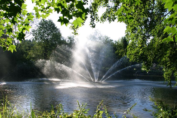 Fontäne im Kurpark Bad Wörishofen