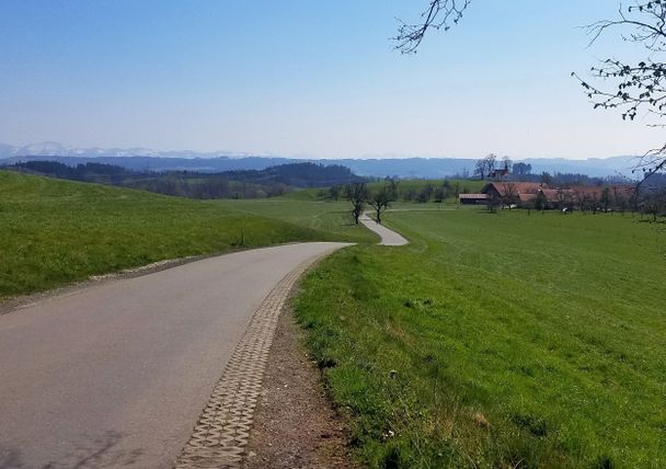 Blick auf Niederwangen