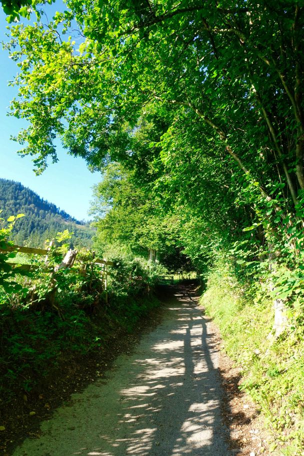 Feldweg hinter Roßmoos Richtung Falkenstein