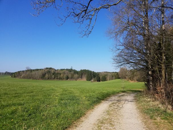 Weite Wiesen und schöne Ausblicke