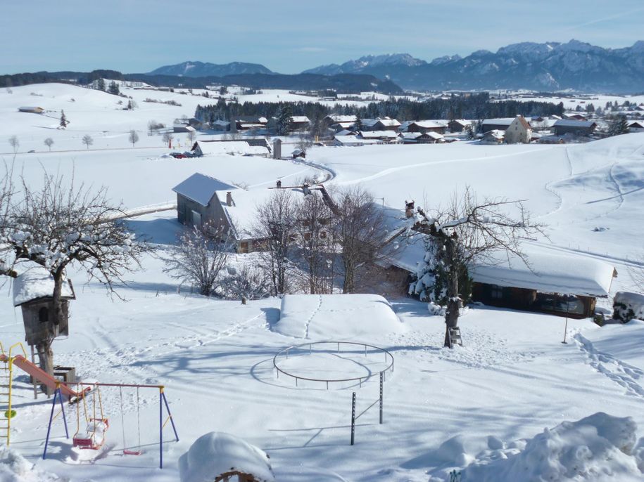 Im Winter auf den Garten