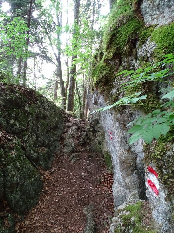 Felsendurchbruch auf dem Weg zum Alatsee