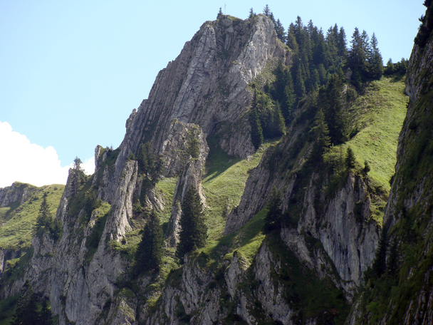 Vom Riedbergpass auf den Besler - 120 Millionen Jahre Erdgeschichte