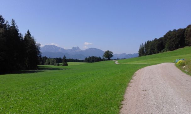 Kiesweg Richtung Wanderparkplatz Hopferwald