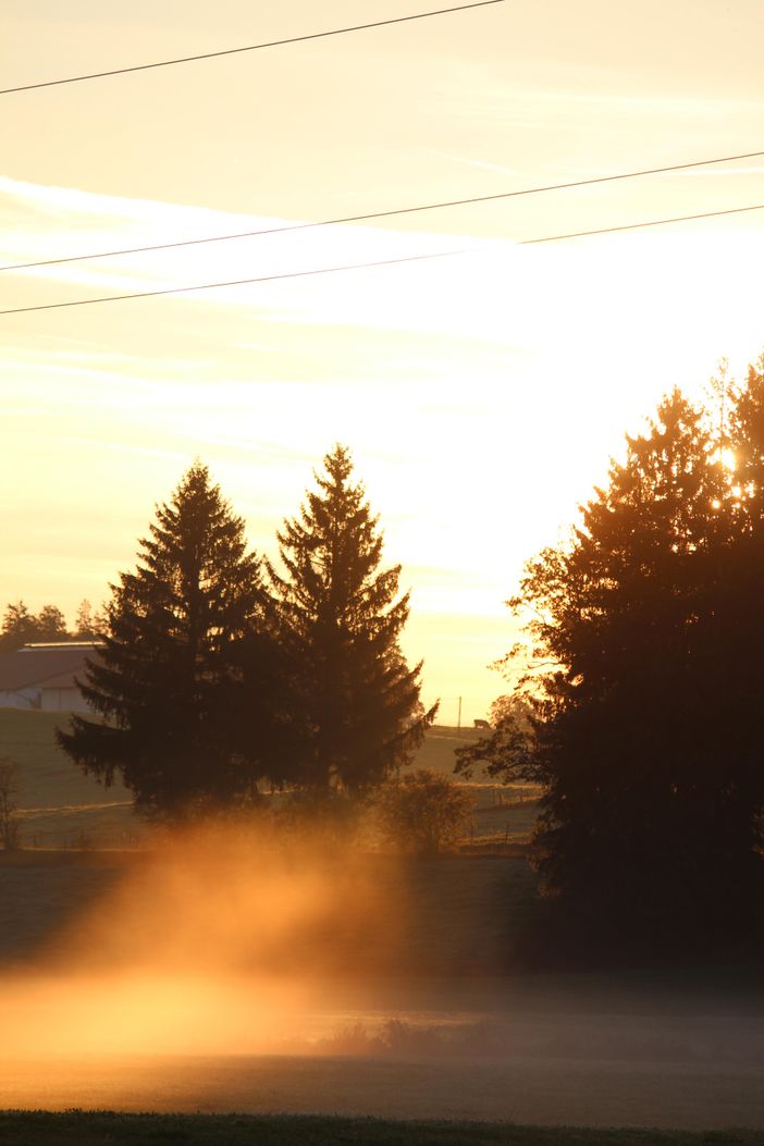 Morgenstimmung vom Balkon aus