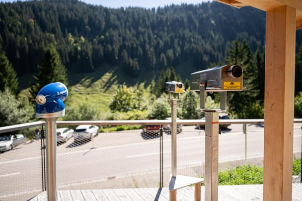 Gamsbeobachtungsstation am Riedbergpass