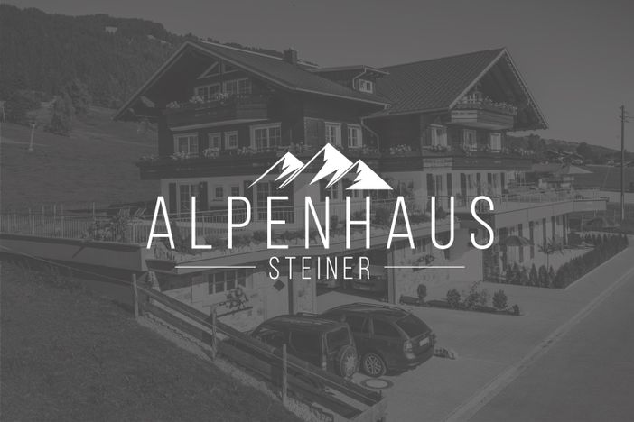 Alpenhaus-Steiner-grau