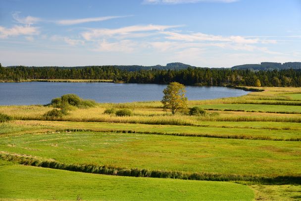 Der Ursee bei Isny-Beuren