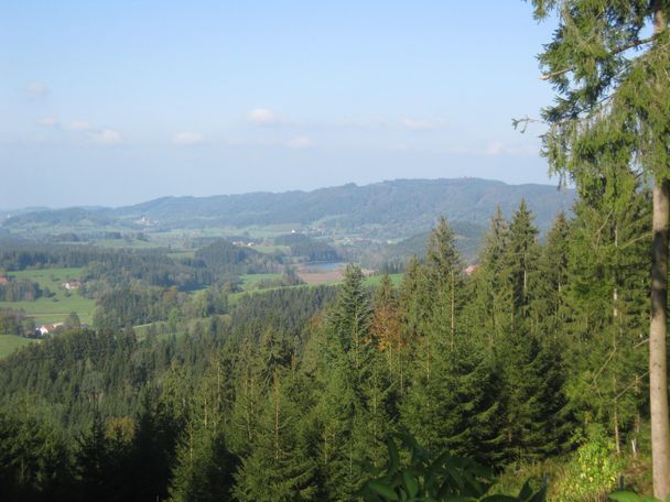 Blick zum Hengelesweiher