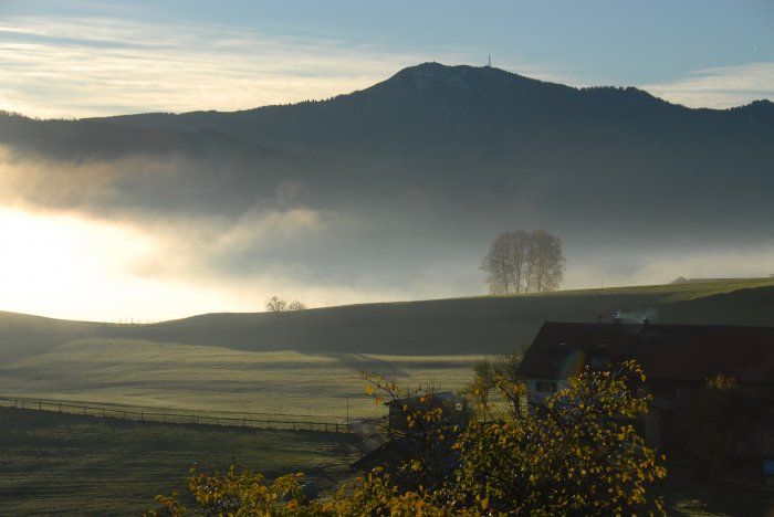 Was für ein Anblick am Morgen