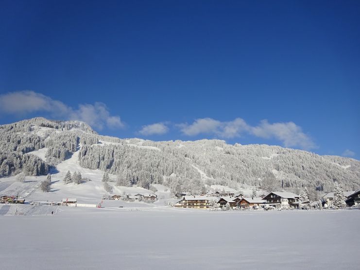 Bolsterlang im Winter