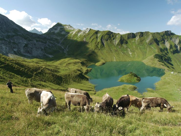 Schrecksee im Naturschutzgebiet "Allgäuer Hochalpen"