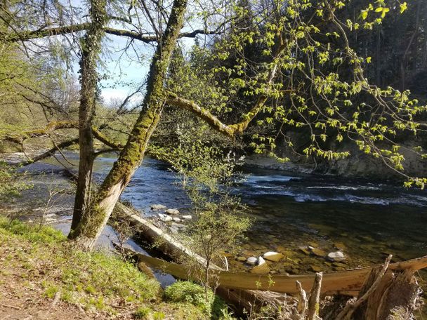 Nachmittagsstimmung an der Argen