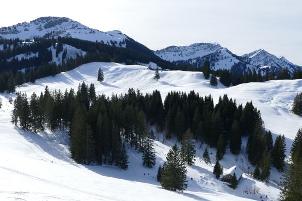 Mittelbergalpe und Nagelfluhkette