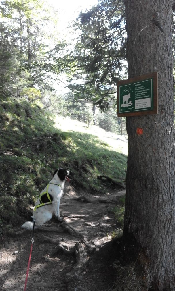 Hinweisschild "Achtung Viehweide"