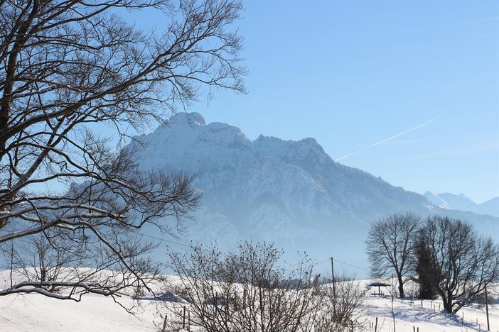 Säuling vom Stögerhof