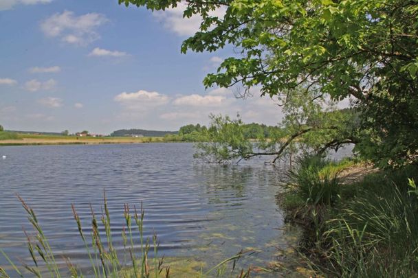 Sachsenrieder Weiher