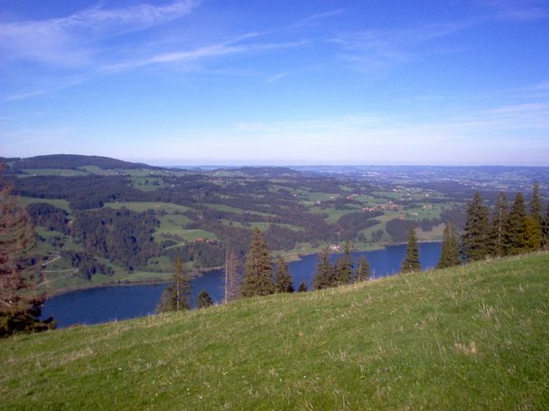 Herrlicher Blick auf den Großen Alpsee