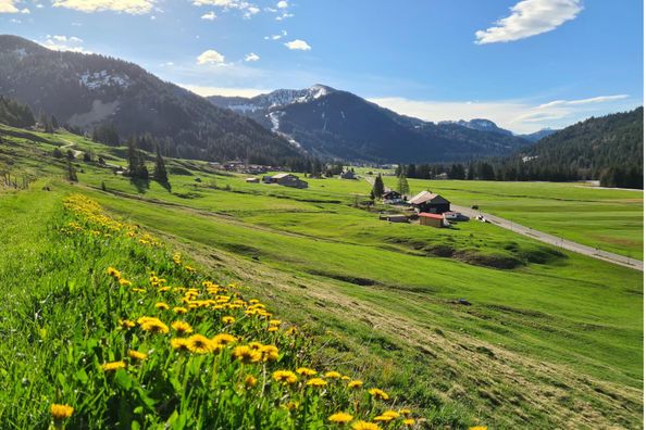 Höhenweg