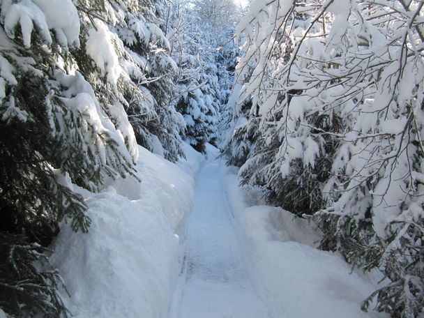 Verschneiter Winterwanderweg durch den Sagenwald