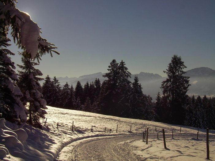 Rodelbahn Sonthofer-Hof