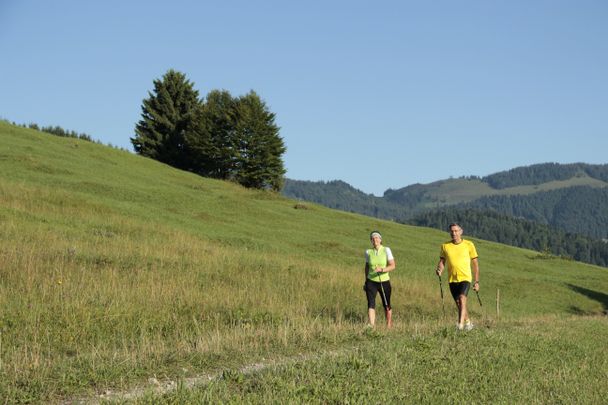 Nordic Walking im Tannheimer Tal