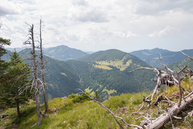 Blick auf die umliegenden Berge