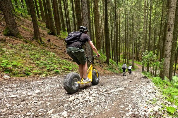 Downhill-Roller am Ofterschwanger Horn