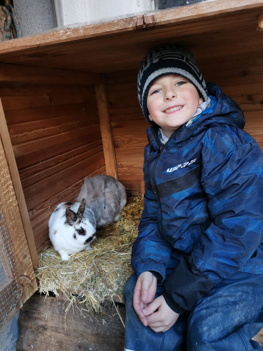 Hasen streicheln und füttern