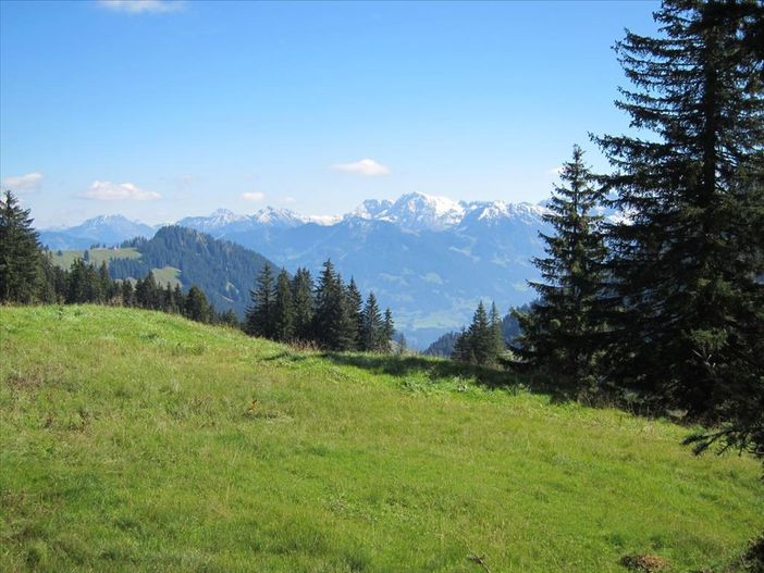 Bergsommer im Allgäu