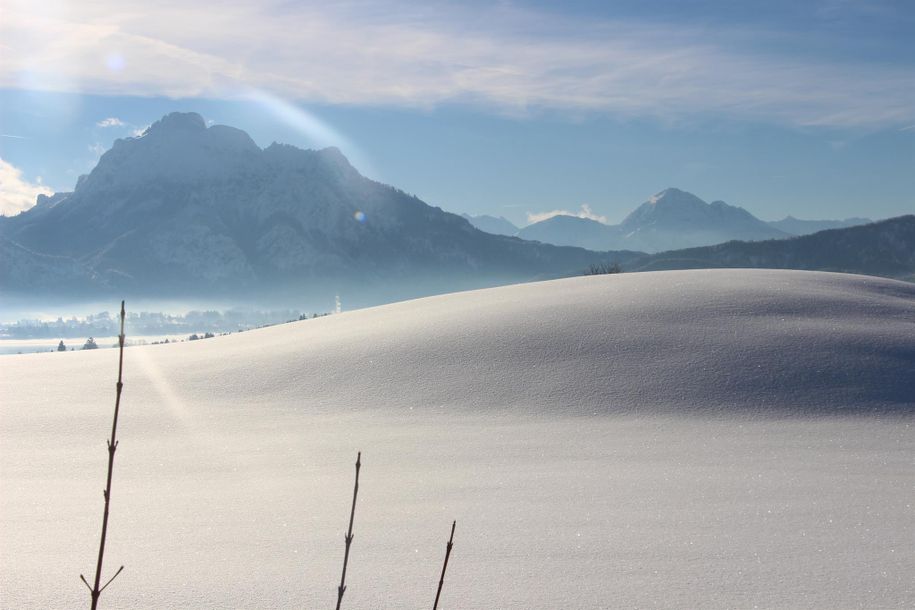 Stögerhof - Winter und soooo viel Schnee