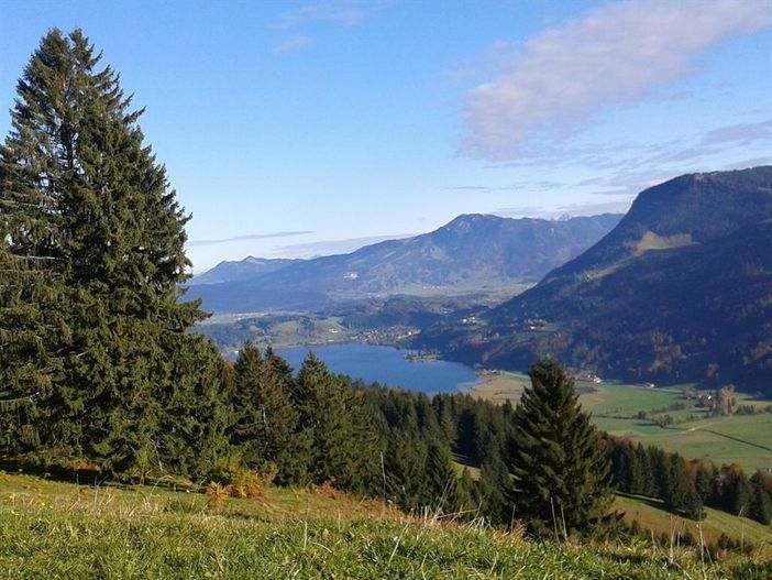 Alpsee/Salmaser Höhe