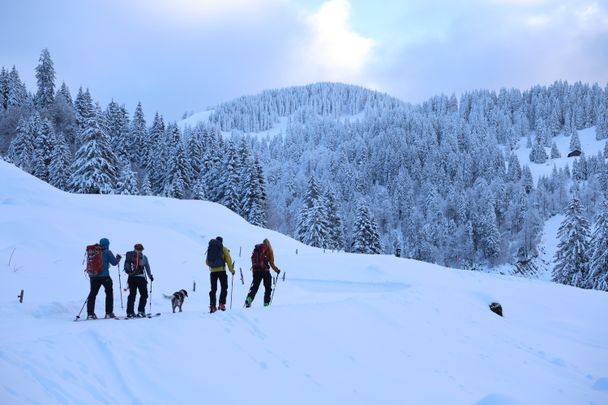 Von Balderschwang auf den Siplingerkopf