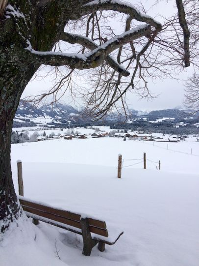 Wittelsbacher Höhe bei Schweineberg