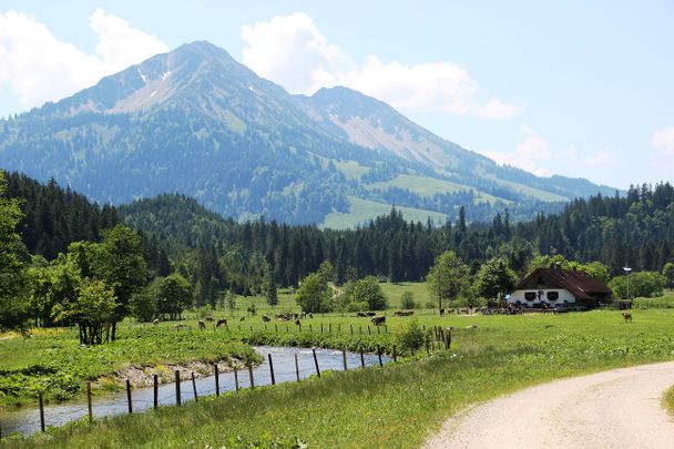 Kalbelehof Alpe