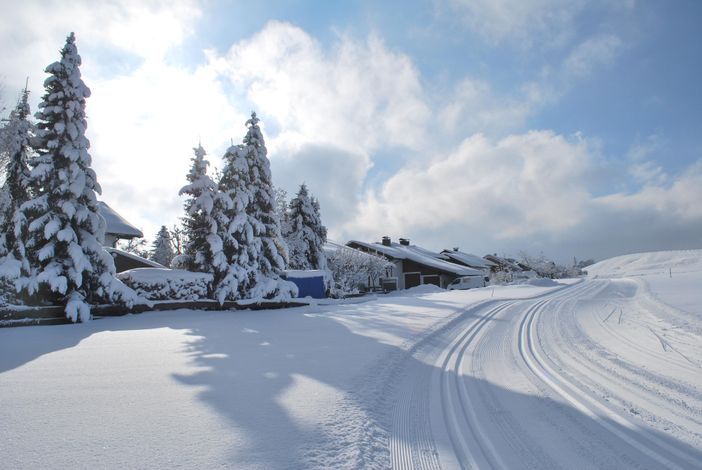 Langlaufloipe 150m vom Haus entfernt