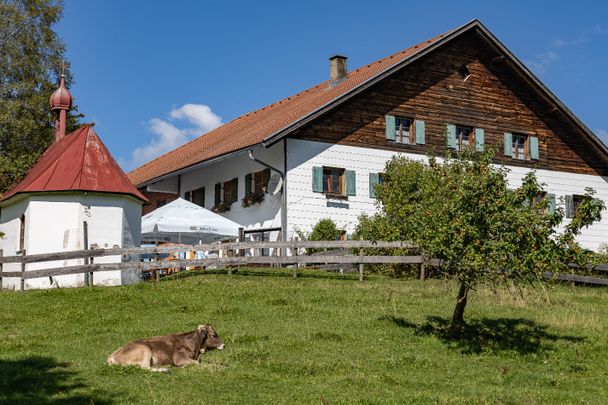 Lecker Essen in der Alpe Kögelhof