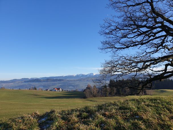 Ausblick zur Nagelfluhkette