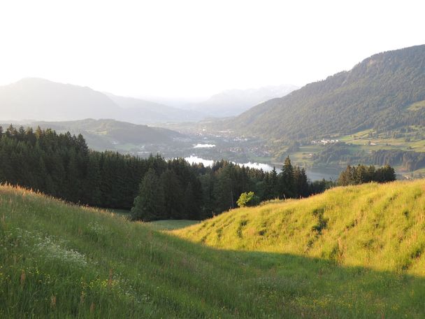 Ausblick von der Siedelalpe