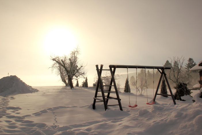 Garten im Winter