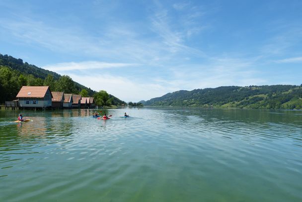 Den Großen Alpsee in Immenstadt Bühl